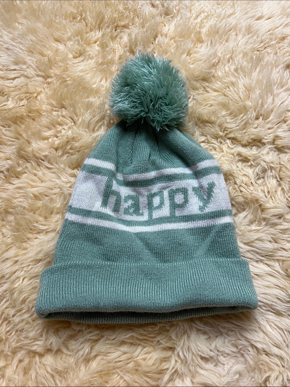 Happy Camper American Eagle Sage Green Winter Hat